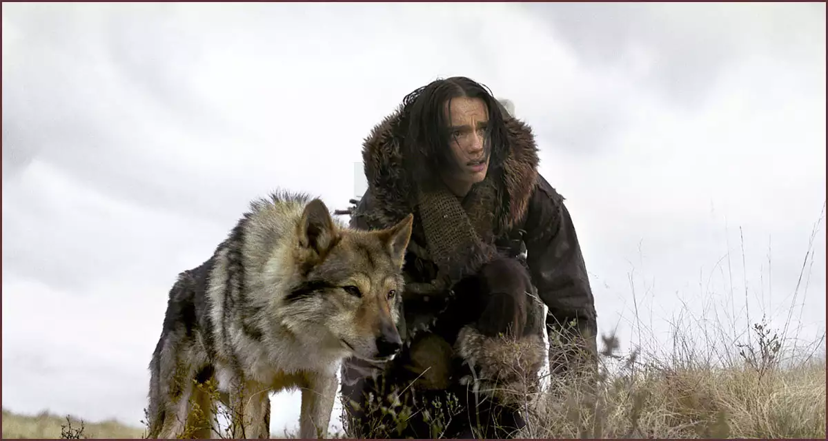 케다와 알파의 위험한 여정