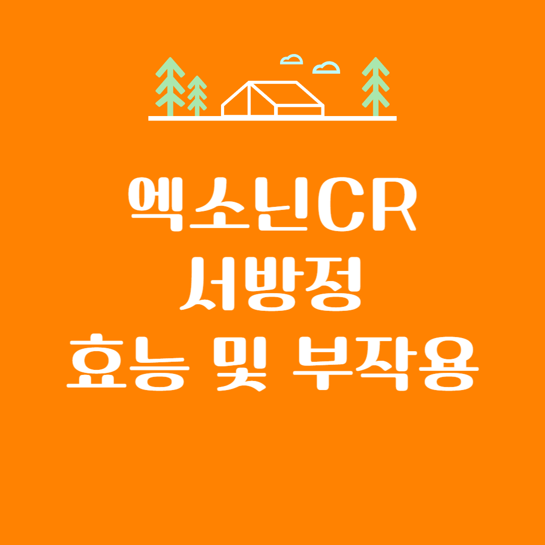 엑소닌cr서방정