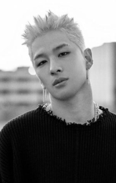 하나의 장르가 되어있는 태양