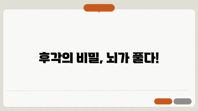후각신경과학