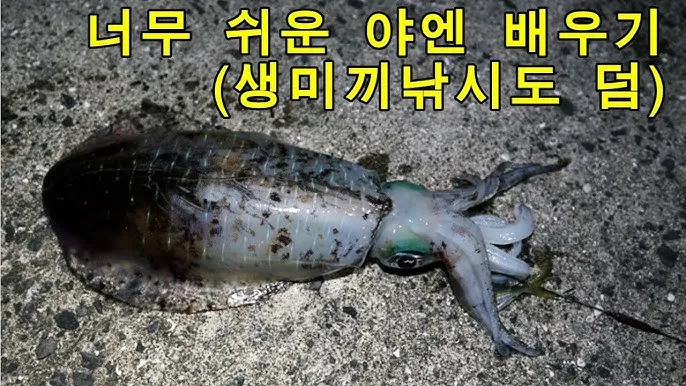 생미끼낚시 팁 감성돔 갯지렁이 미끼 꿰는 법과 입질 파악_4