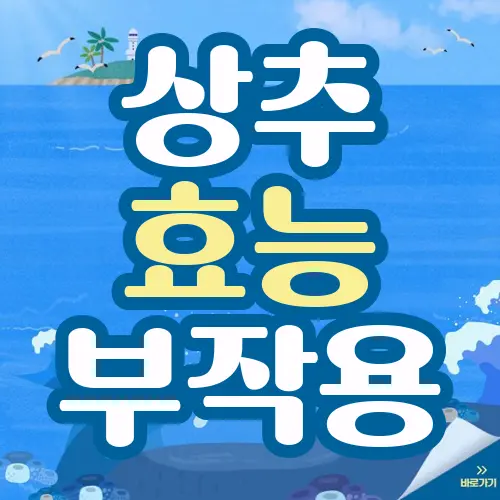 상추효능