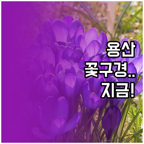 서울 3월 주말 여행 용산가족공원 산..