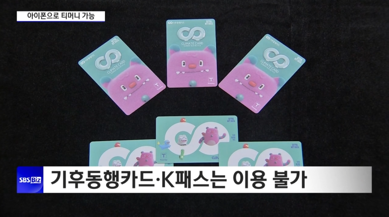 기후동행카드&middot;K패스 미지원 사유