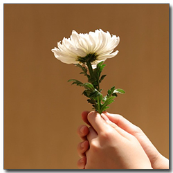 ๊ตญํ ํ์ก์ด