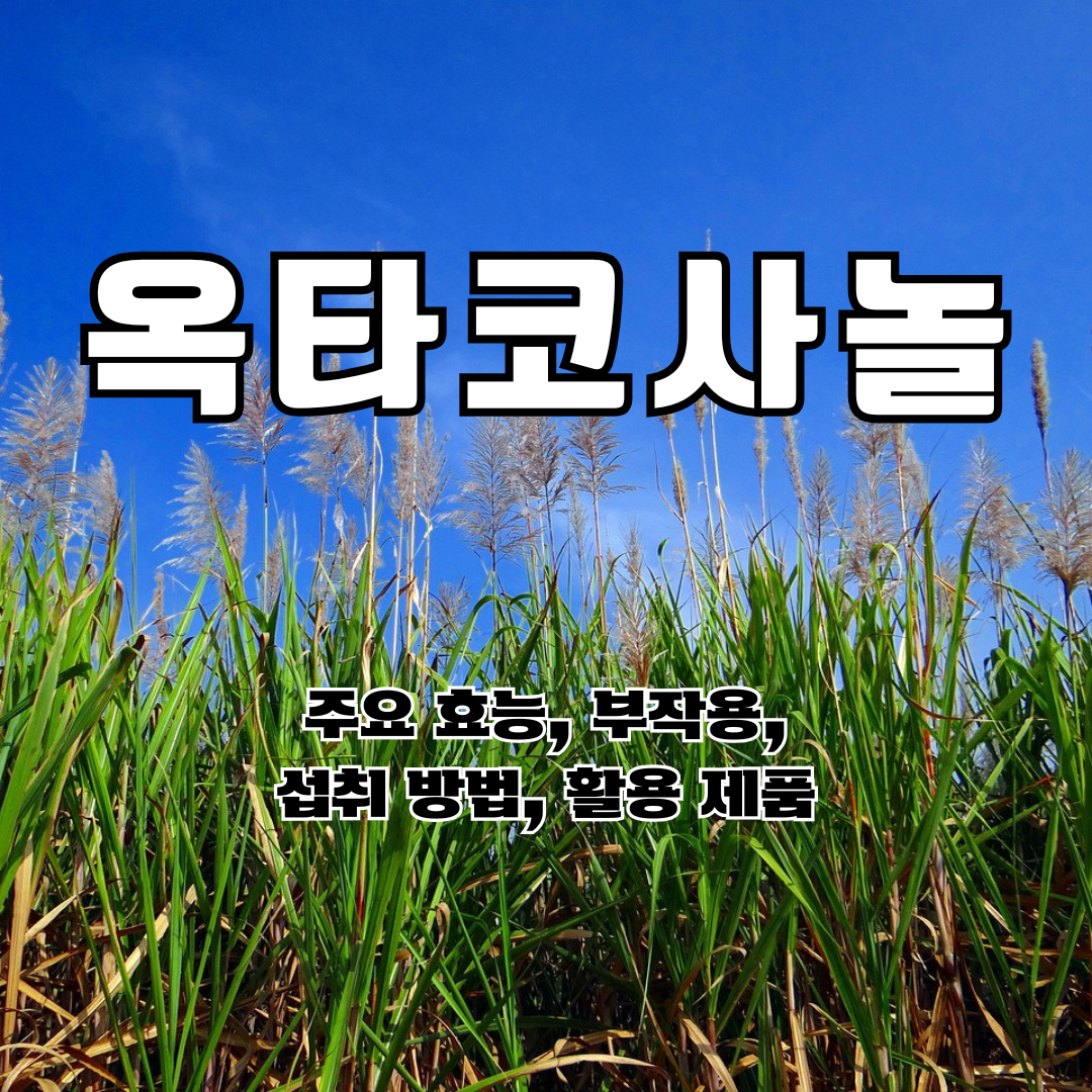 옥타코사놀