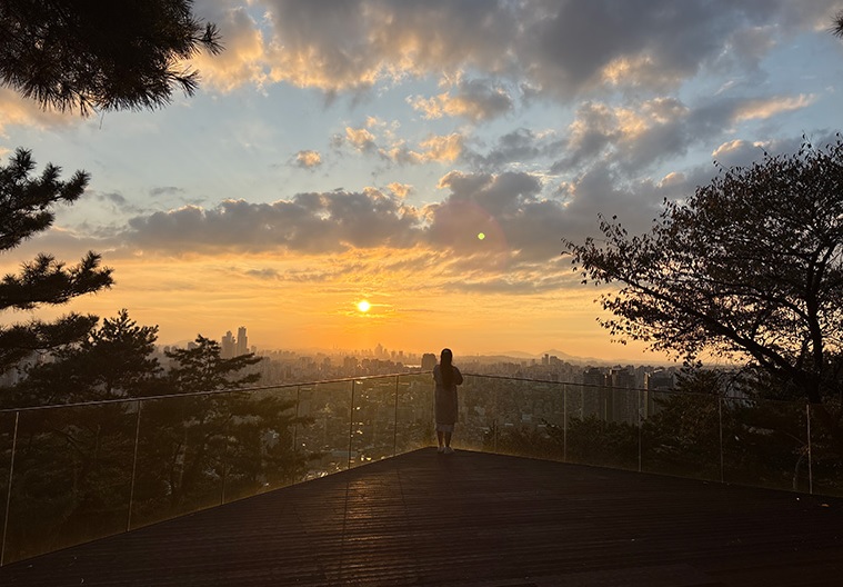 무장애길 전망대 갖춘 남산 하늘숲길 개방