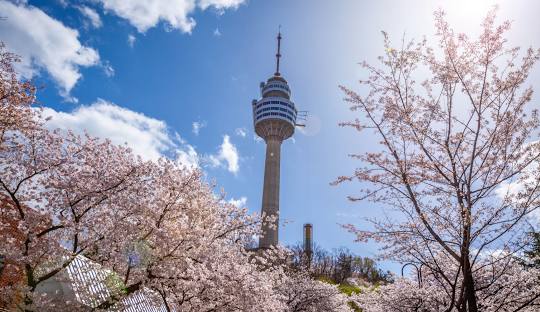 8월 국내 여행지 추천 베스트 