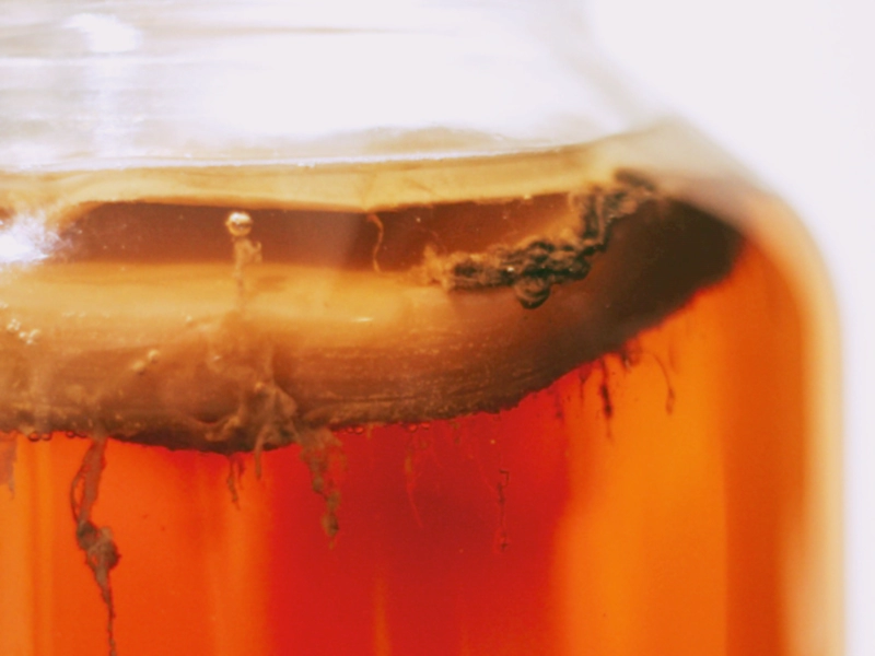 스코비( SCOBY)