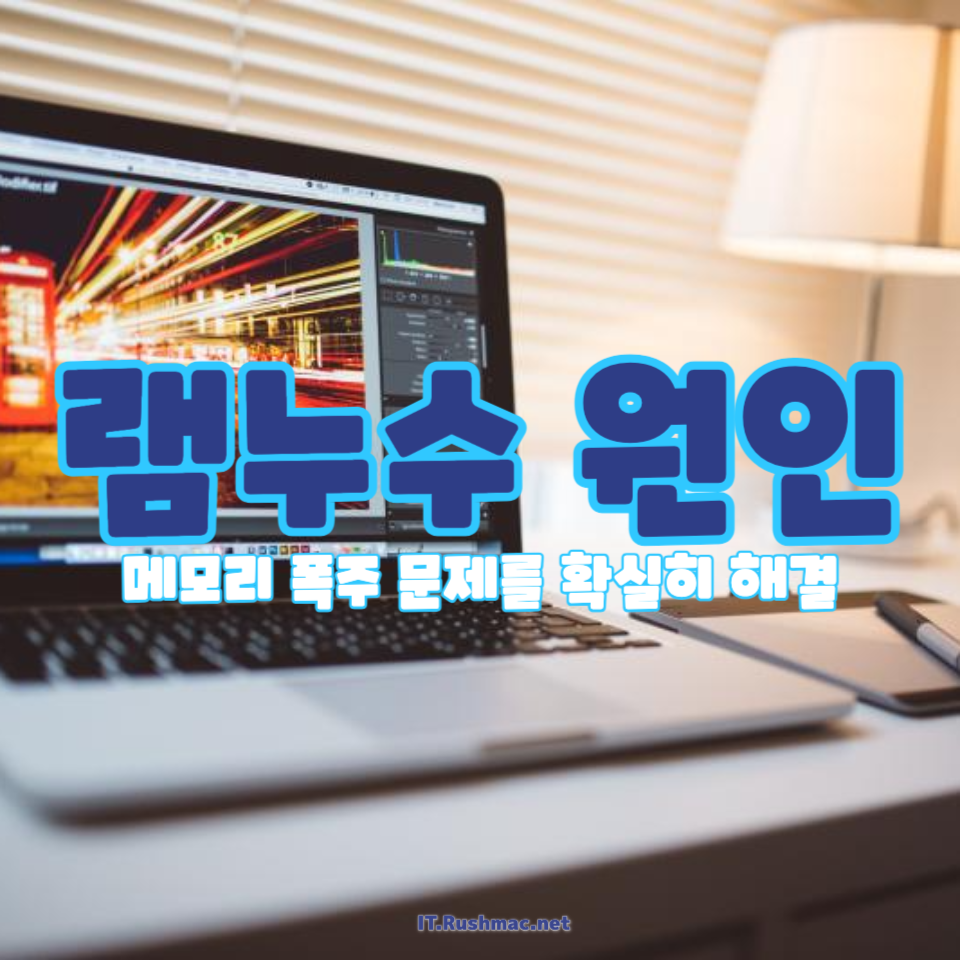 램누수 원인