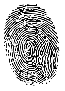 지문