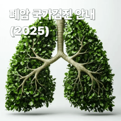 폐암 국가검진 안내 (2025)｜대상자&middot;신청 방법&middot;검사 과정
