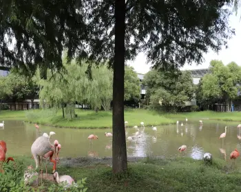 순천만 국가정원_28