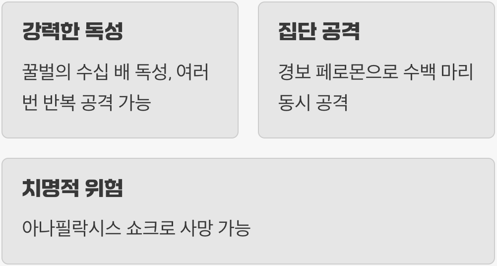 절대 건드리면 안 되는 이유 (위험성)