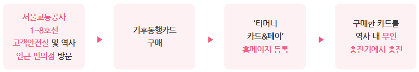 기후동행카드 실물발급