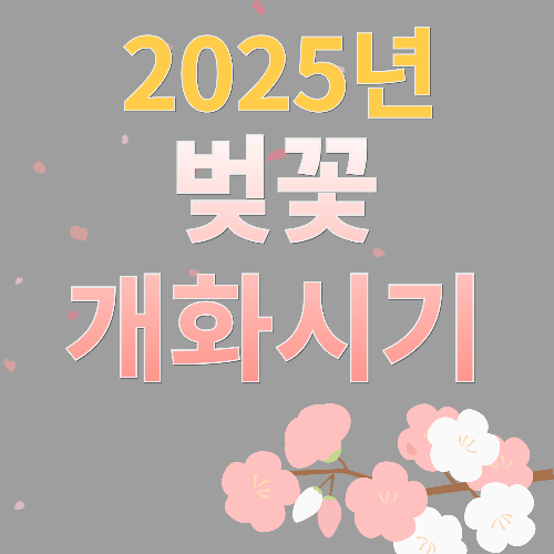 2025 벚꽃 축제