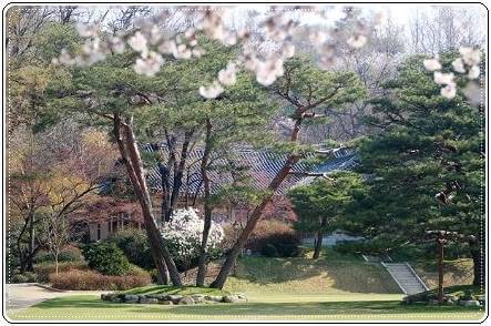 청와대 야간개방 예약&amp;#44; 관람 신청 방법&amp;#44; 주차정보(밤의산책)