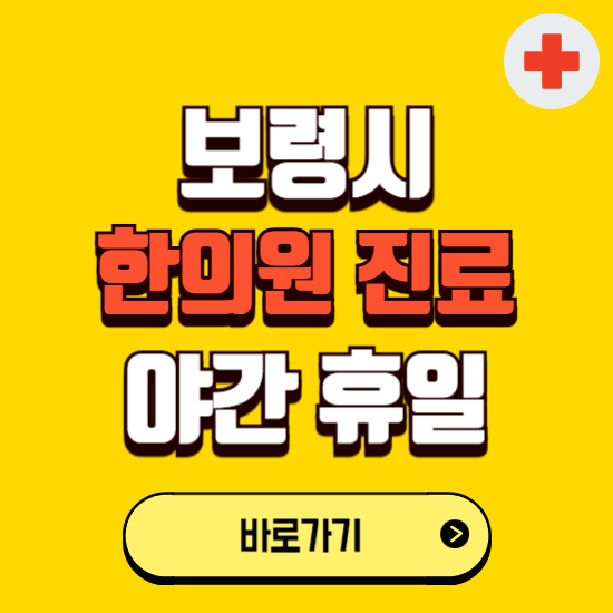 보령시 야간 휴일 한의원 한방병원 찾기 ❘ 24시 일요일 주말 연휴 응급진료 추천 잘하는 곳