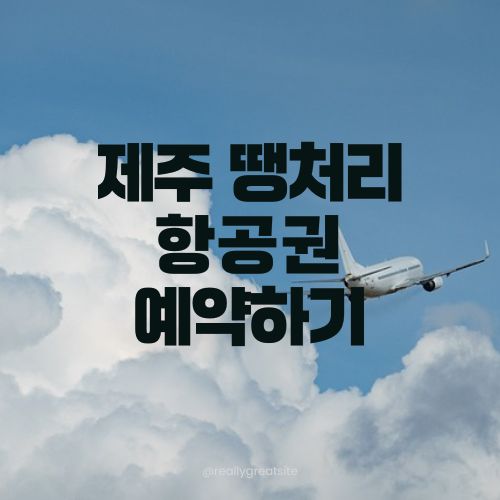 제주항공권 땡처리 항공권 예매 구매 방법 제주도 여행행