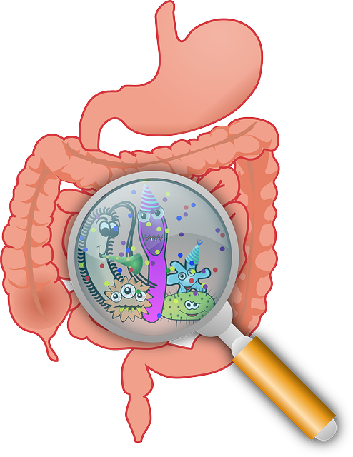 역류성 식도염 증상과 음식 관리 소화기 질환 완벽 가이드