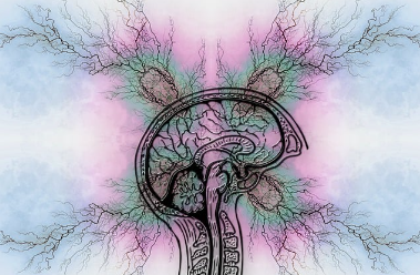 ADHD 성인 ADHD와 초등 ADHD의 주요 특징