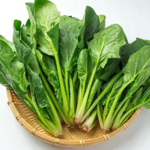 글루타치온음식