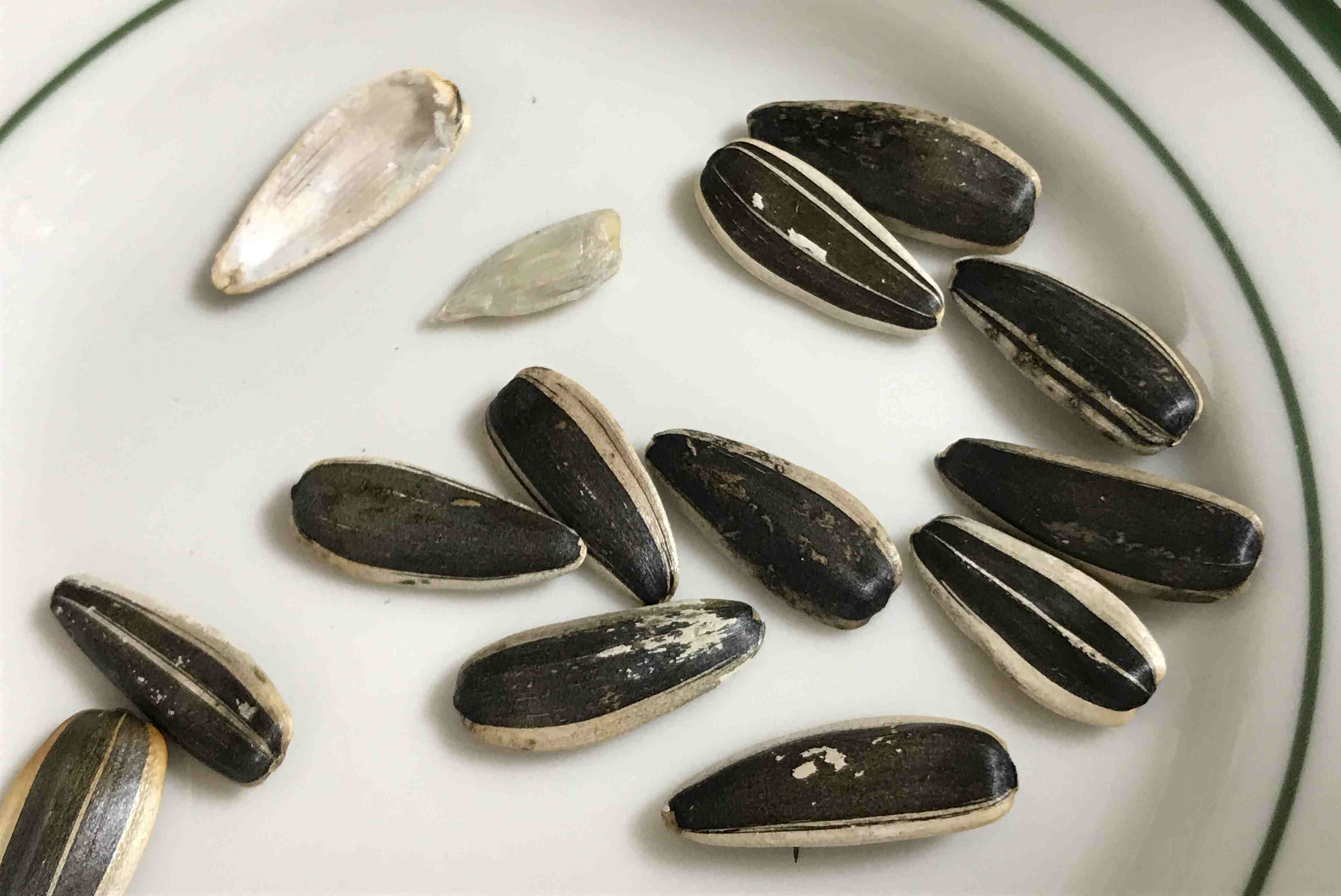 해바라기씨 깐 것