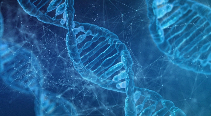 암 유전 확률: 가족력이 있다면 알아야 할 것