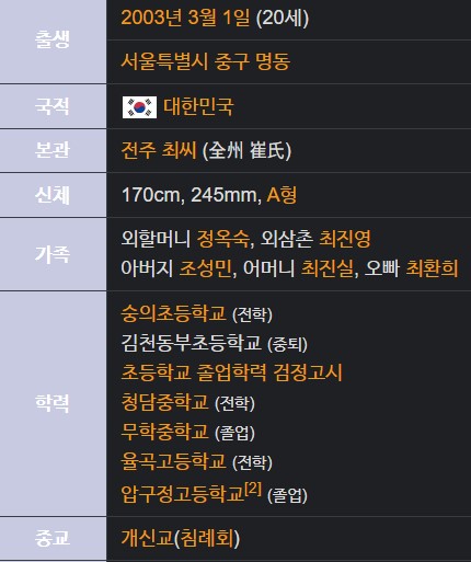 최준희 프로필 나이 학력 가족
