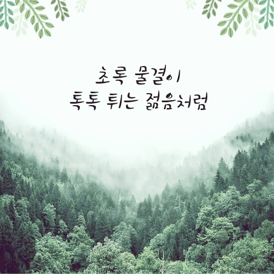 아침산책 시 문구 들어간 이미지