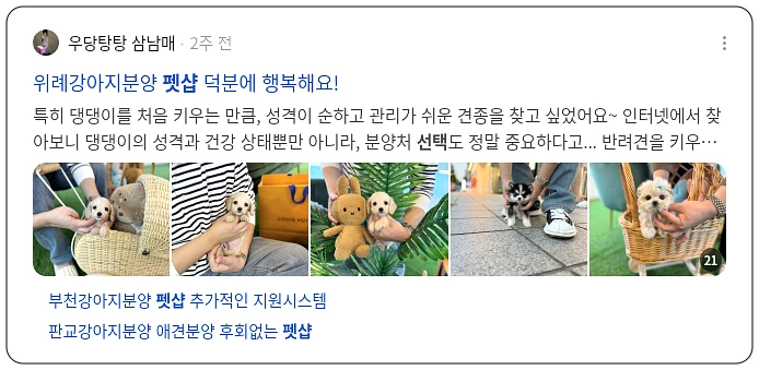 펫샵 선택_2_subsection