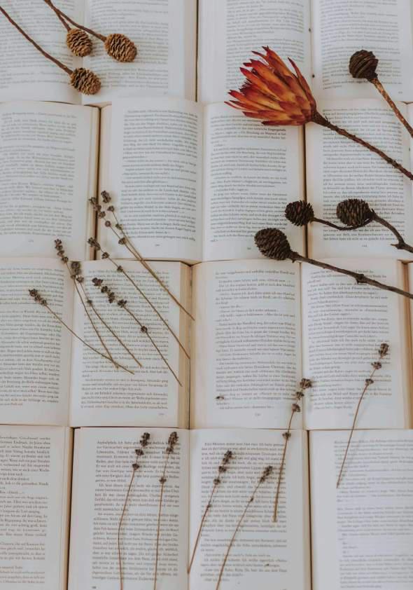 청소년이 좋아하는 인기 소설 Top 3