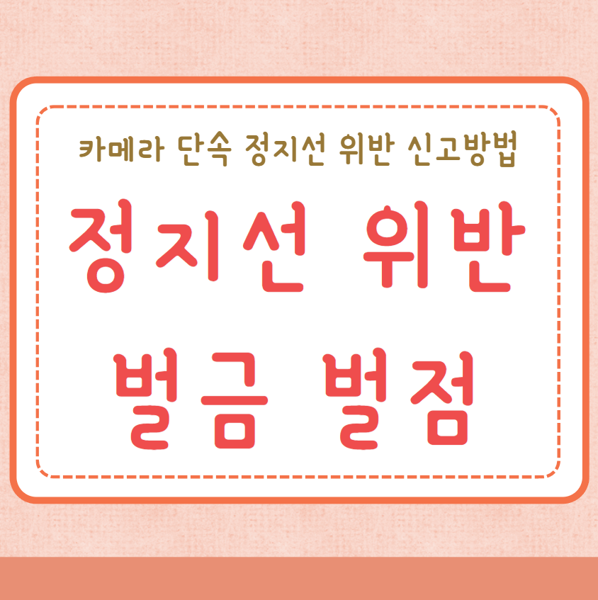 정지선 위반 벌금 벌점