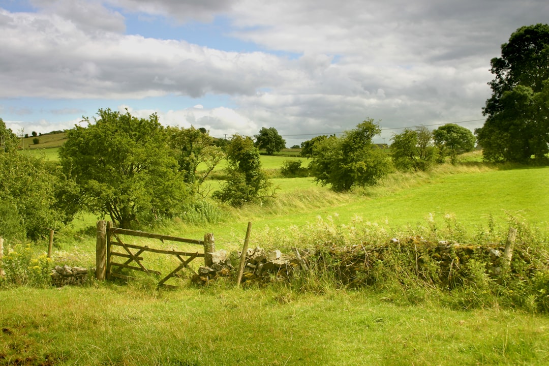 '공시지가'를 'Appraised Value'로 추천합니다.