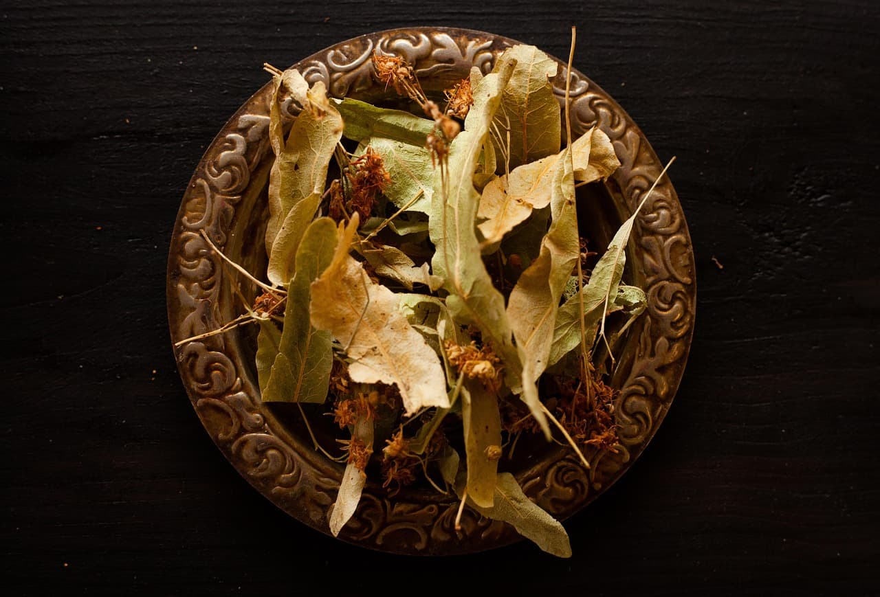 카모마일차 카페인없는 차