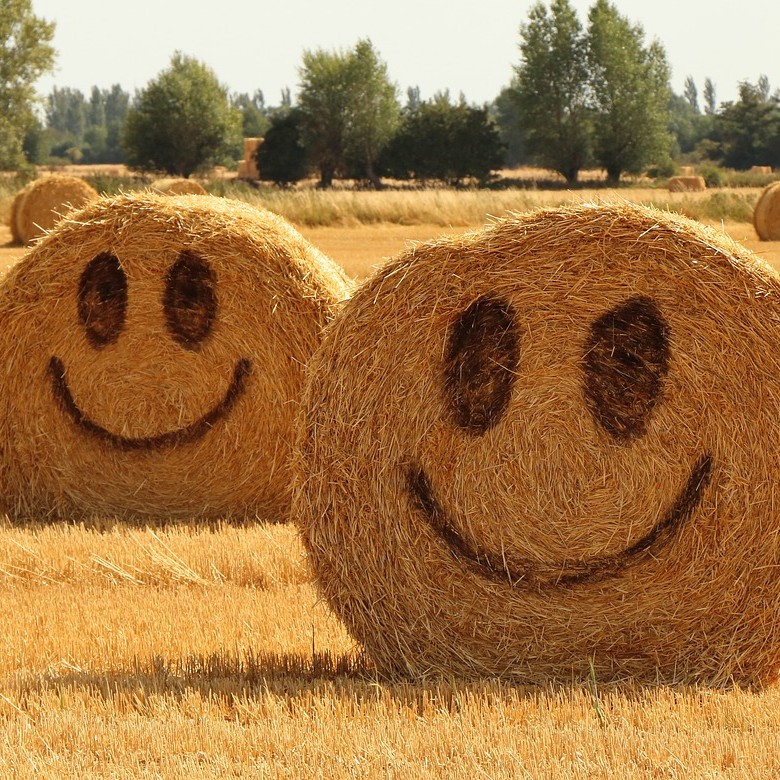 S-아데노실메티오닌(SAM-e)의 우울증 개선효과를 상징적으로 보여주기 위한 지푸라기로 만든 스마일 인형 사진