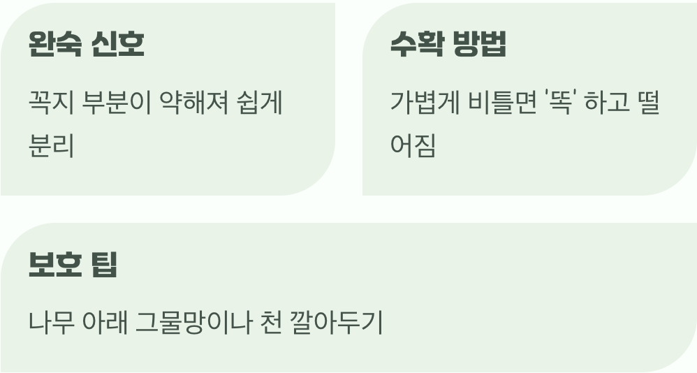 나무가 보내는 마지막 사인, 가벼운 낙과