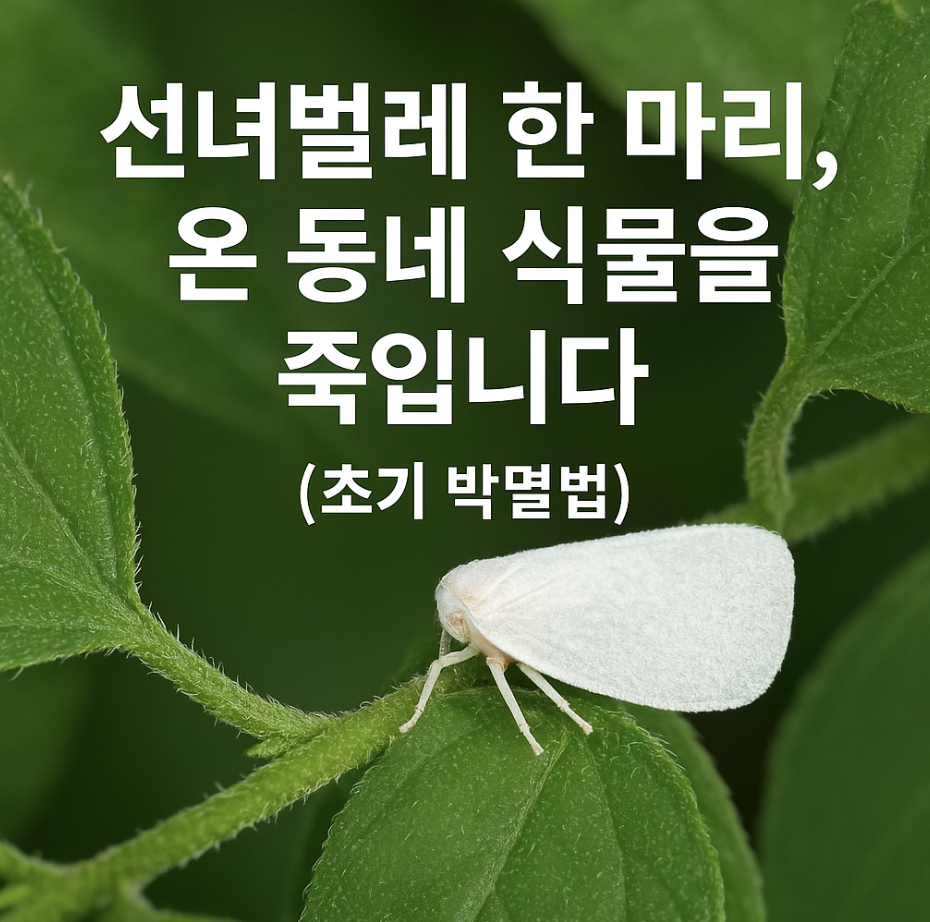 선녀벌레 한 마리, 온 동네 식물을 죽입니다 (초기 박멸법)