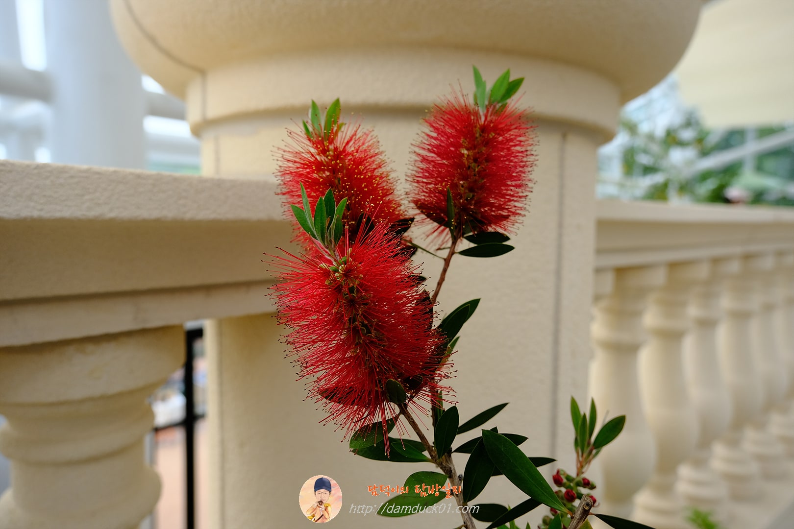 일월수목원 전시온실