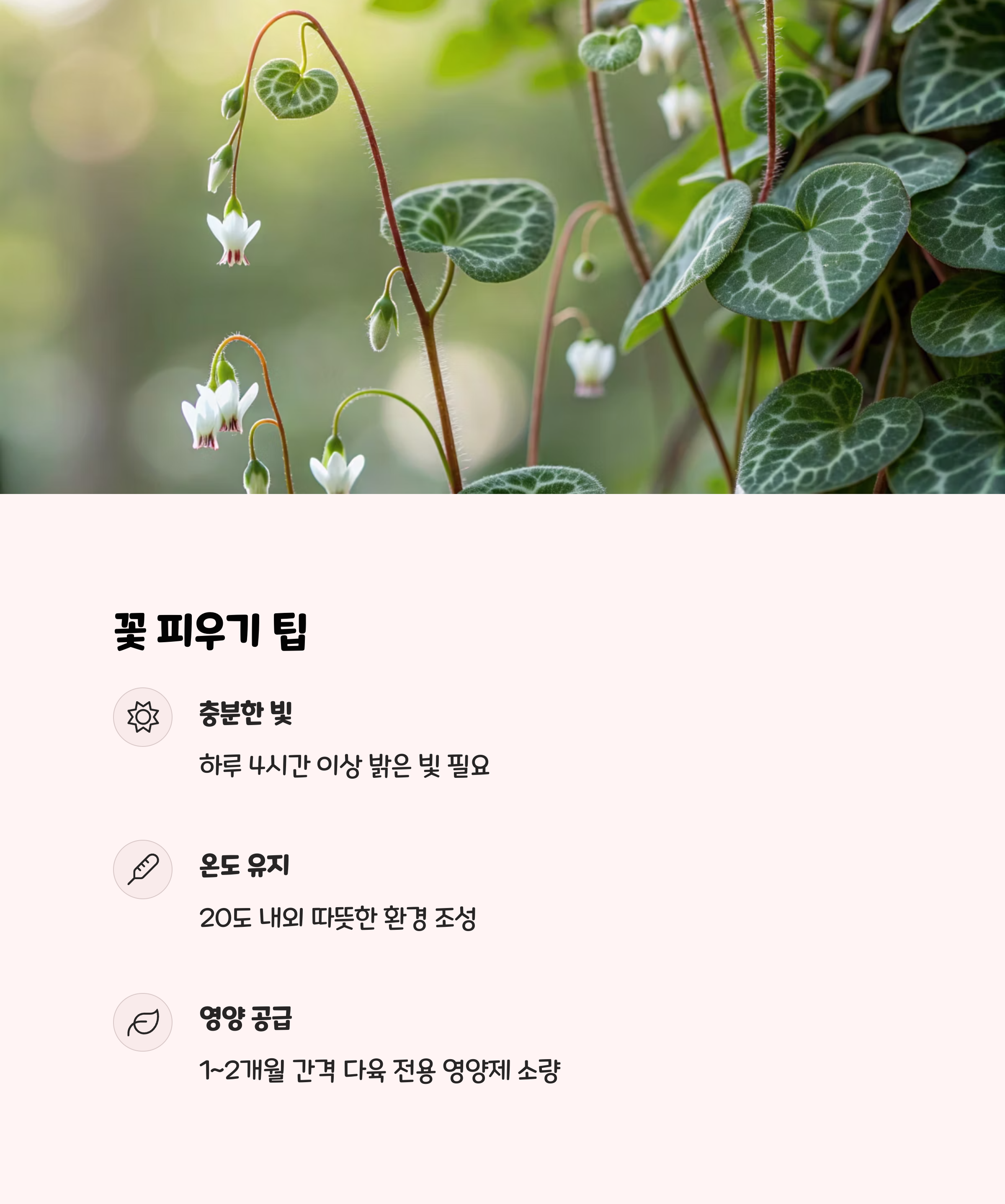 러브체인
