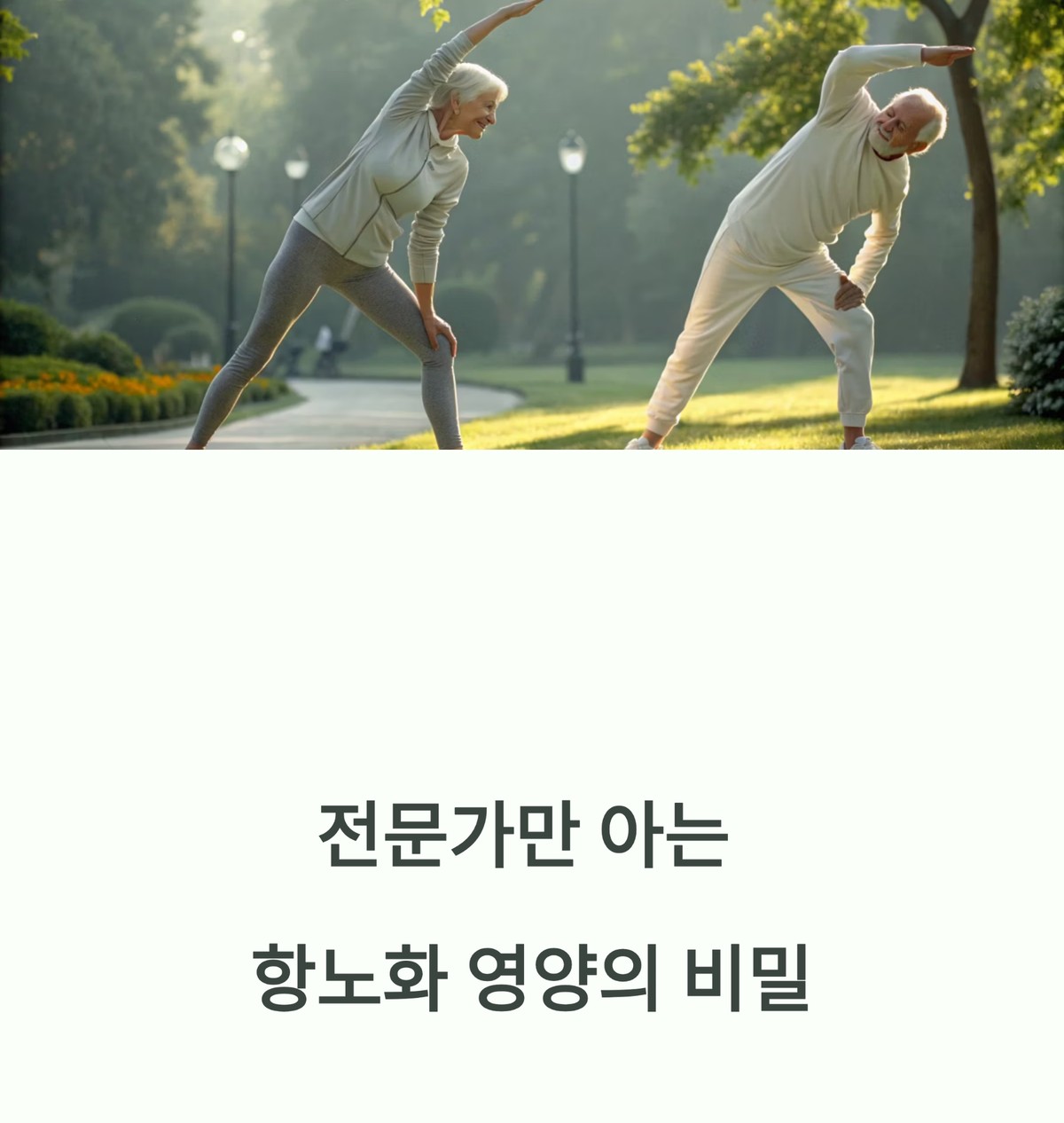 시니어 부부가 야외에서 건강을 위해 스트레칭 운동하는 대표 이미지
