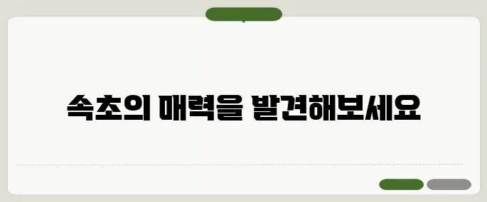 속초여행 당일치기 추천코스 & 주차정보