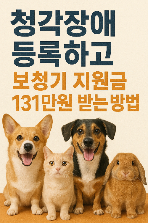 청각장애 등록하고 보청기 지원금 131만원 받는 방법