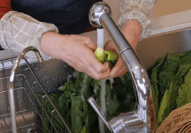 갓김치 담그는법 황금 레시피