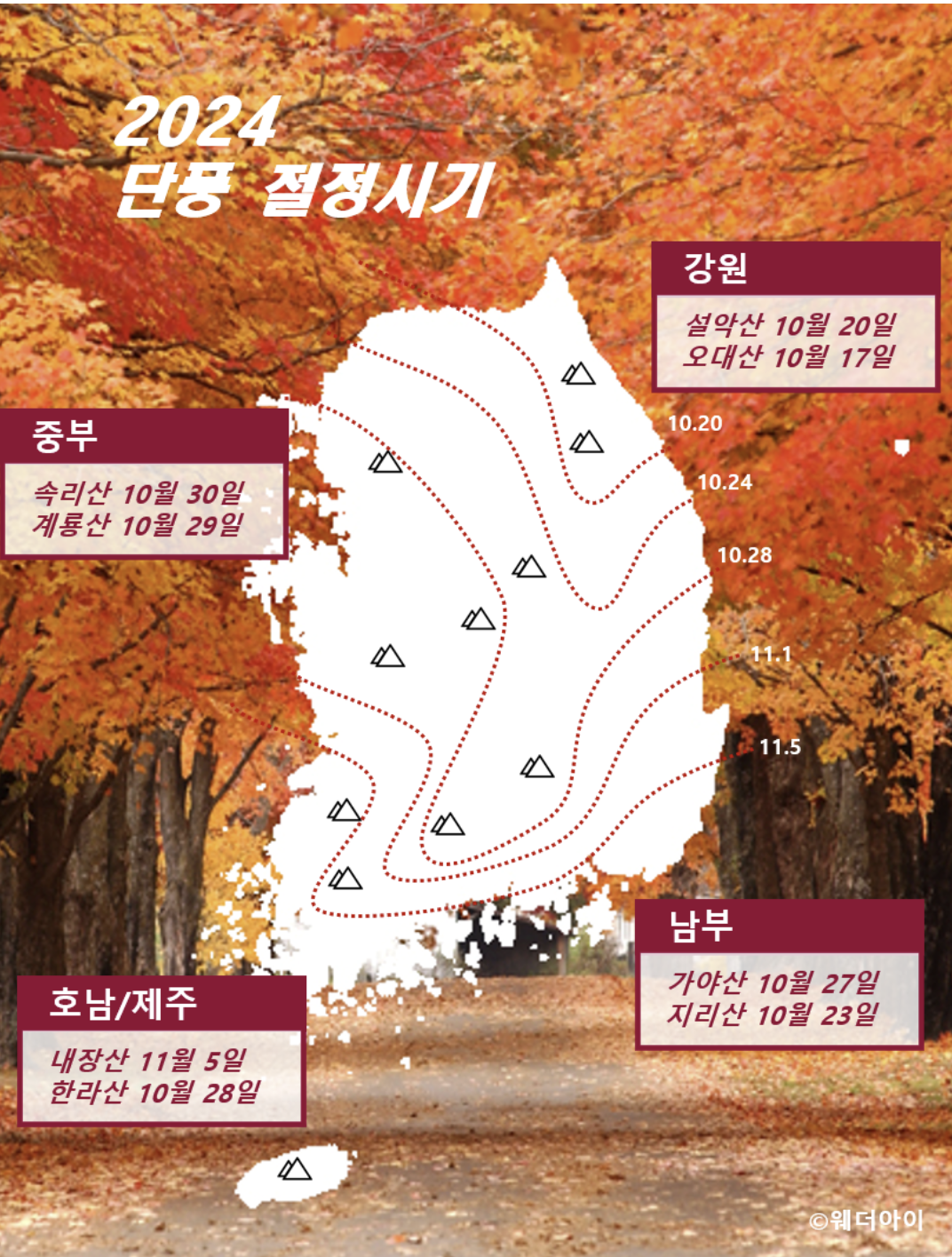 2024년 단풍 절정시기
