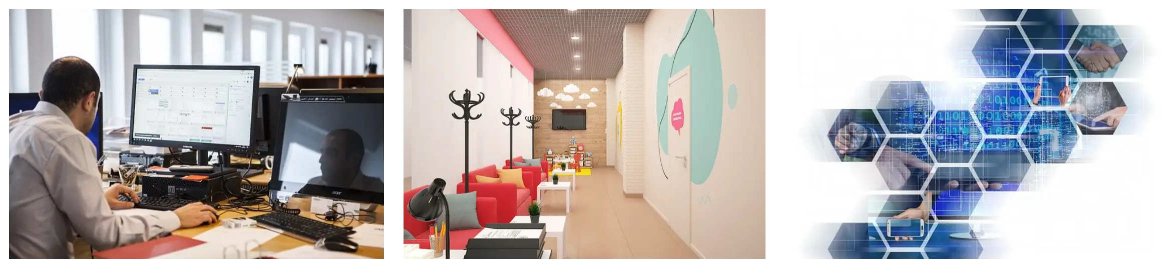 앵무새가 반려동물이라고?