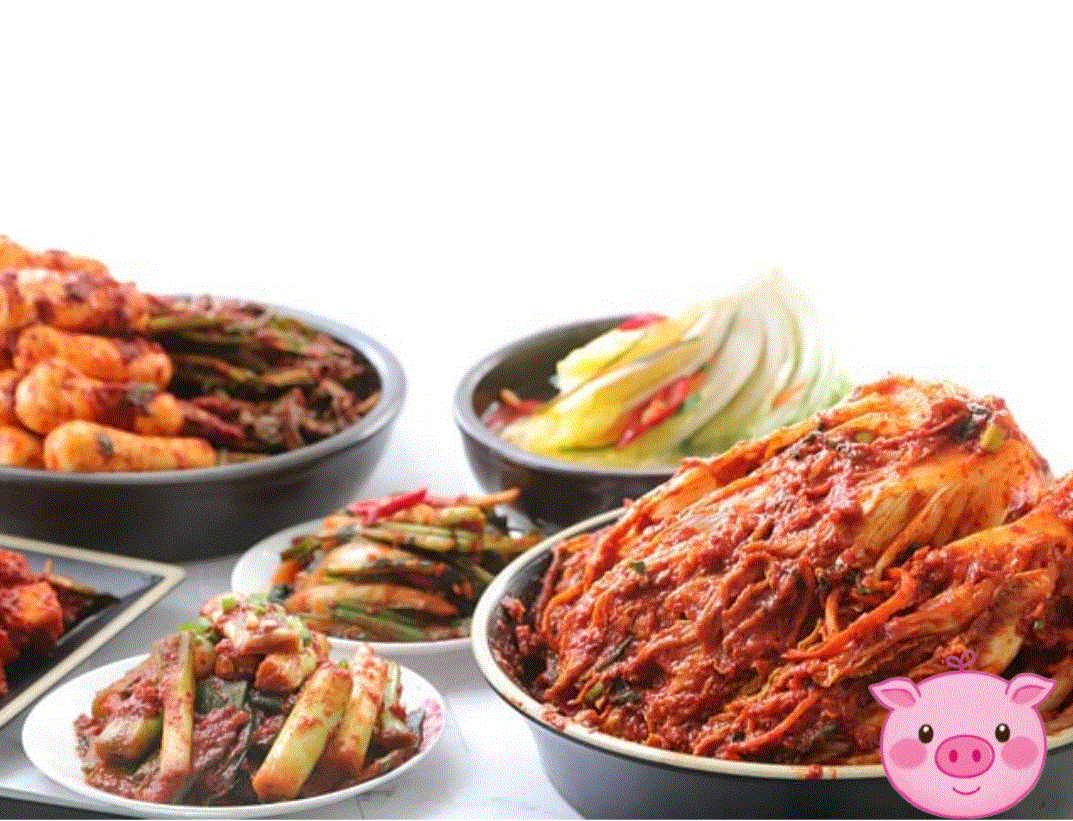 김치-유산균