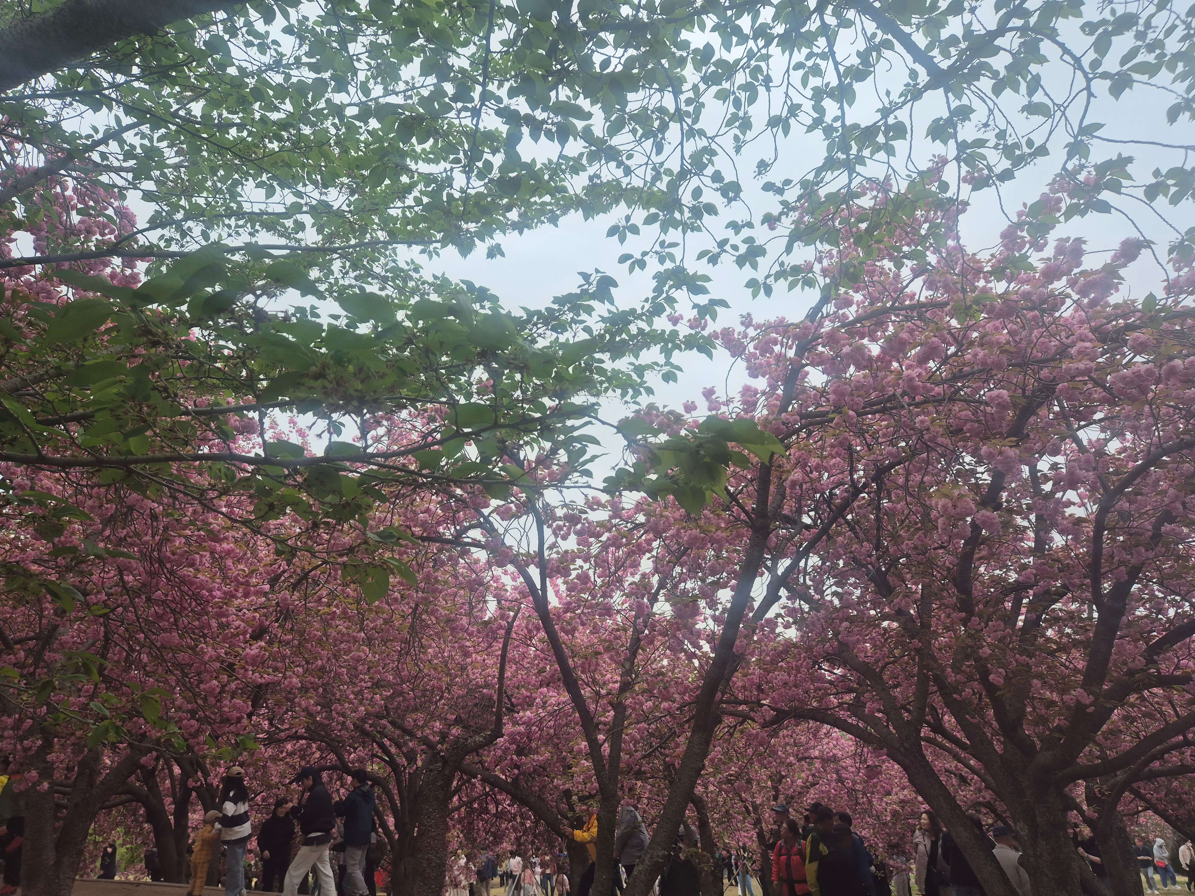 경주 여행, 황리단길, 야경 명소, 버스이동방법