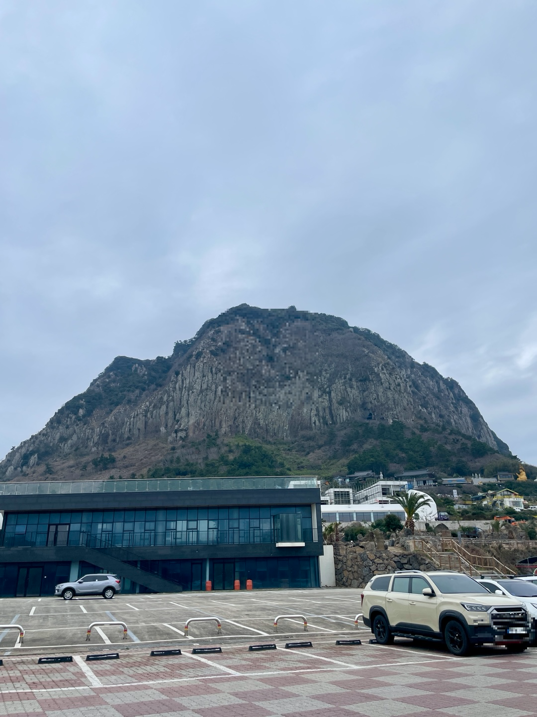 제주 유채꽃 필수 코스