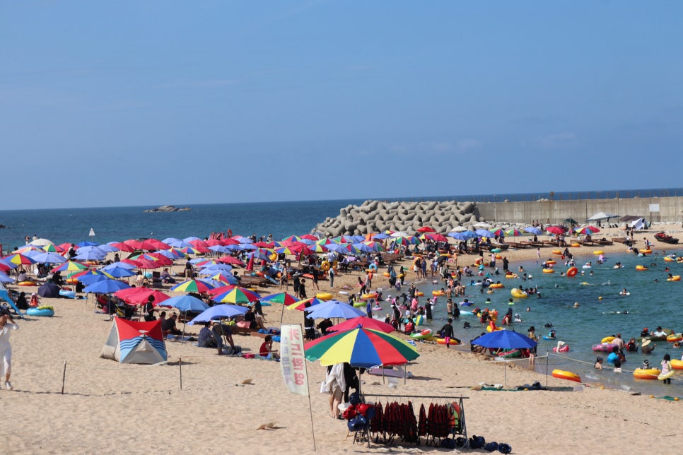 국내 해수욕장 개장일